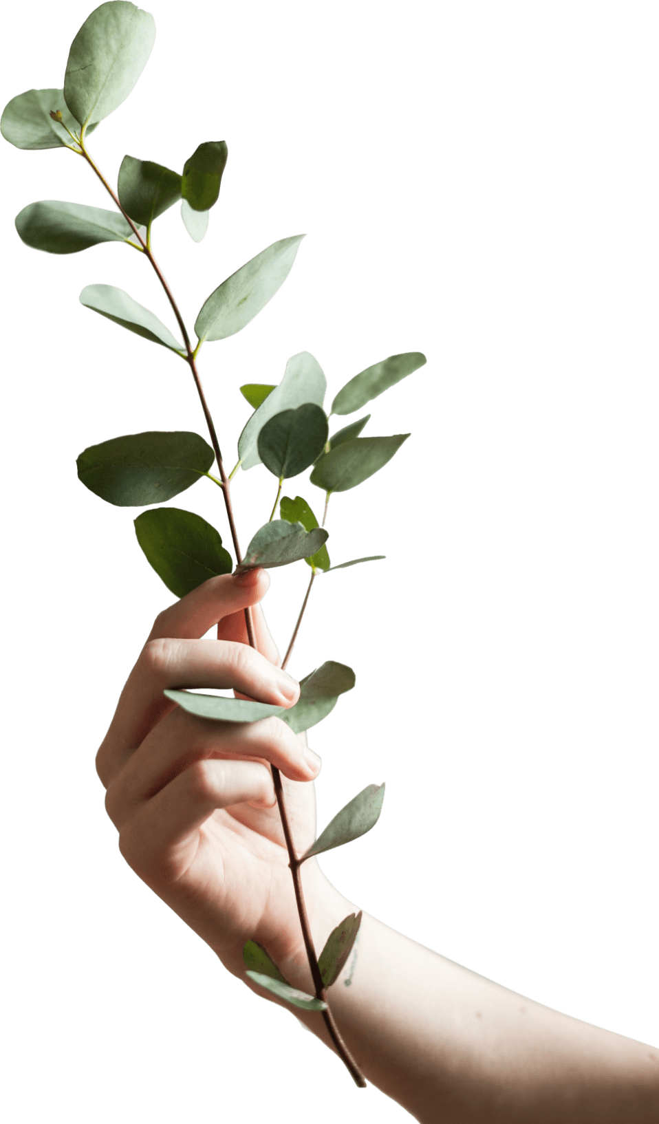 「4R」で省資源に貢献イメージ